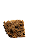 Chocolate and Apricot Colomba Tiri