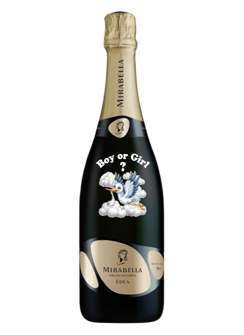 Cicogna Bianca
