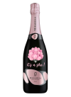 Palloncini Rosa