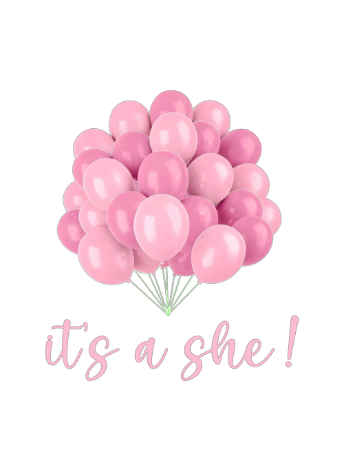 Palloncini Rosa