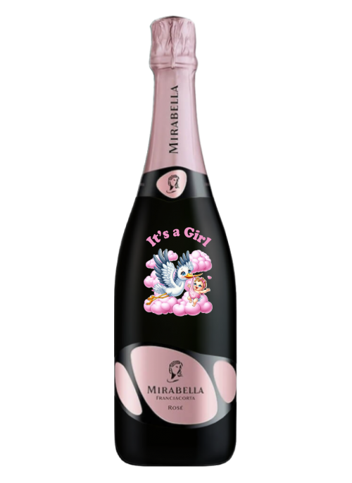 Cicogna Rosa