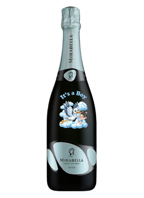 Cicogna Azzurra