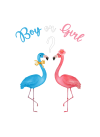 Two-Tone Flamingos