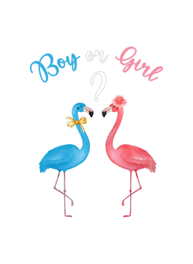 Flamingos