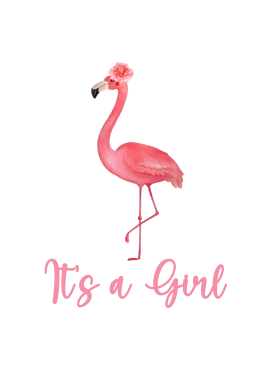 Pink Flamingo