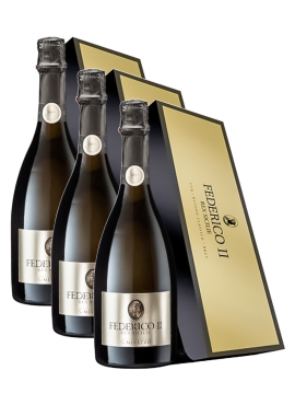 Federico II Vertical 2011, 2015, 2016 with case