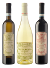 Degustazione Testarossa Pasetti