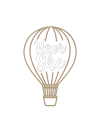 Hot air balloon
