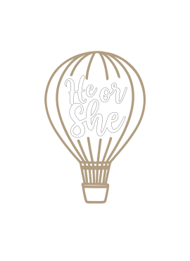 Hot air balloon