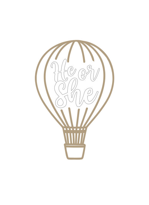 Hot air balloon