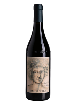 Nebbiolo D'Alba Drago
