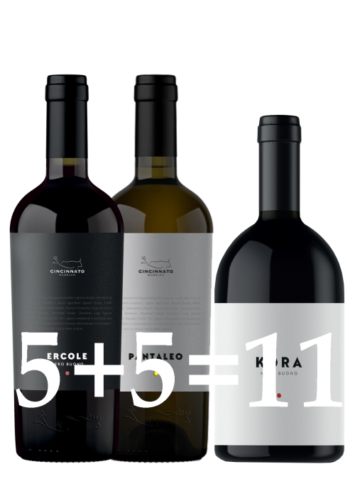 Box Selezioni Cincinnato