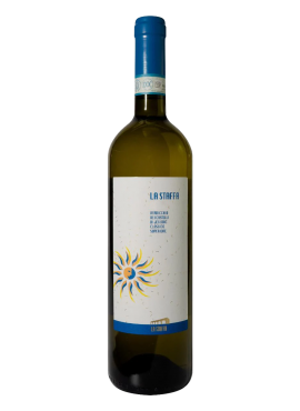 Verdicchio dei Castelli di Jesi