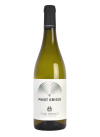 Pinot Grigio