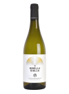 Ribolla Gialla