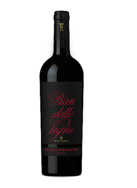 Pian delle Vigne