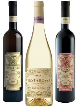 Degustazione Testarossa Pasetti