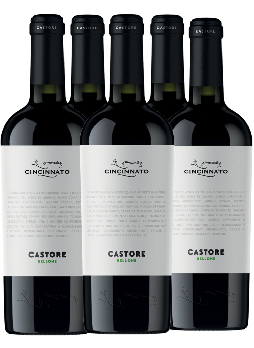 Castore 6 bottles