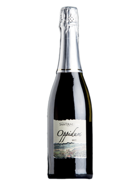 Oppidum Brut 