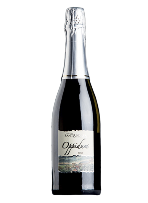 Oppidum Brut 
