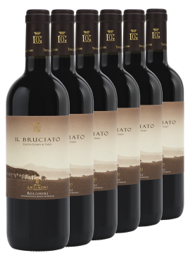 Il Bruciato 6 bottles