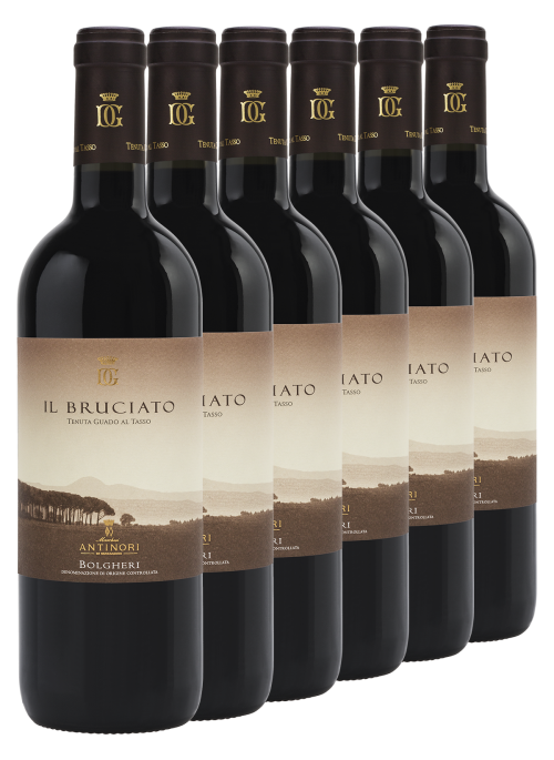 Il Bruciato 6 bottles