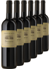 Shiraz 6 Bottgile