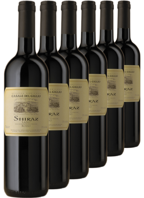 Shiraz 6 bottiglie NV