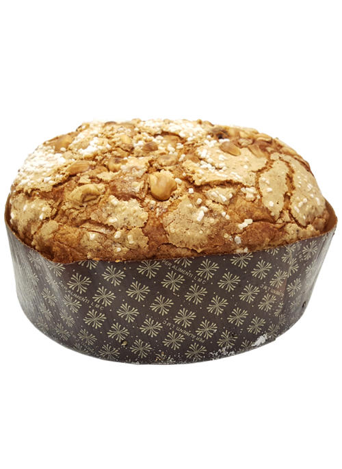 Panettone classico Pregiata Forneria Lenti NV