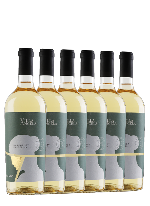 Villa Angela 6 bottles