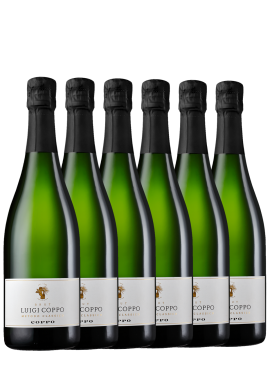 Coppo Metodo Classico Brut 6 bottiglie