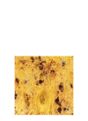 Panettone cioccolato Dolcemascolo NV