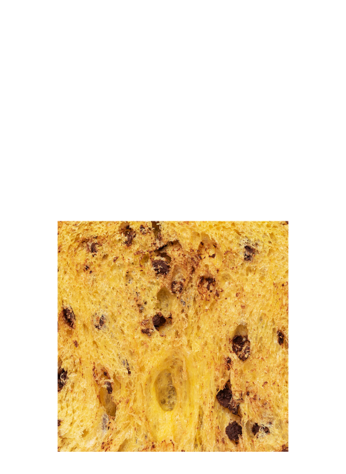 Panettone cioccolato Dolcemascolo NV