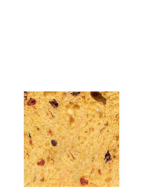 Panettone cioccolato e lampone Dolcemascolo NV