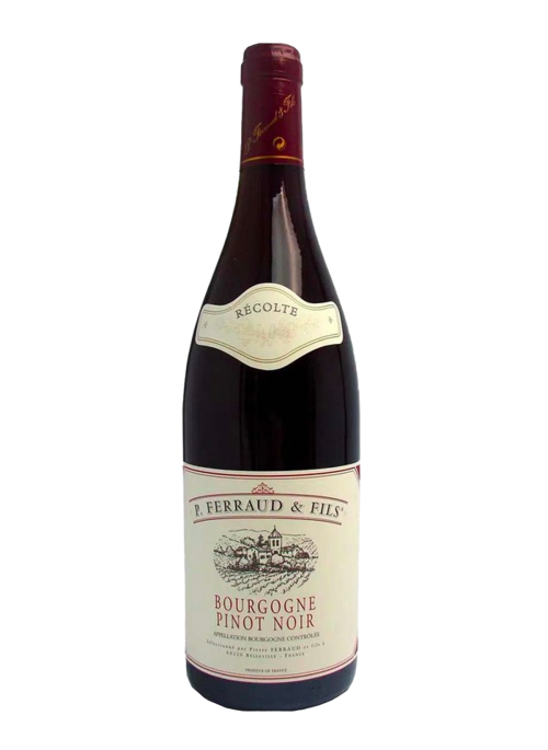 Bourgogne Pinot Noir