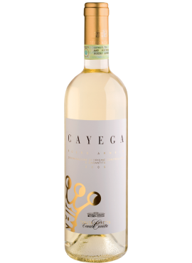 Cayega Jeroboam