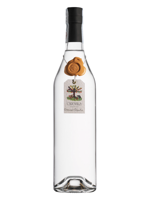 Grappa Ribolla Gravner Capovilla