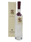 Grappa di Brunello Capovilla Distillati