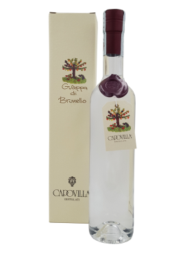 Grappa di Brunello Capovilla Distillati