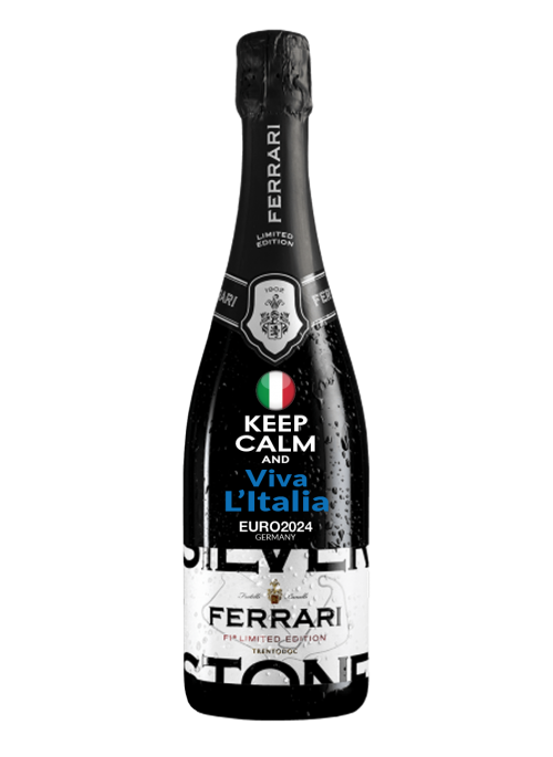 Forza Italia NV
