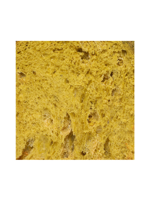 Panettone Artigianale al Pistacchio Dolcemascolo NV