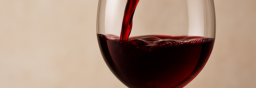 Calice di Primitivo di Manduria - My Wine Store