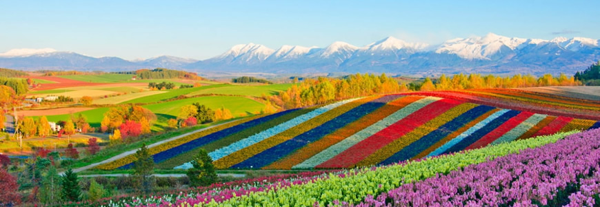 Paesaggi isola di Hokkaido