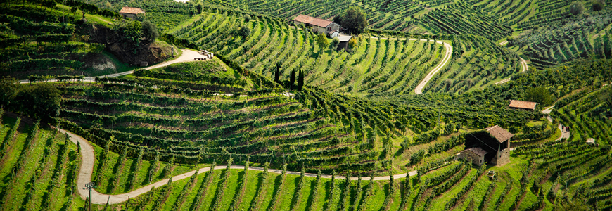 Valdobbiadene e cantine