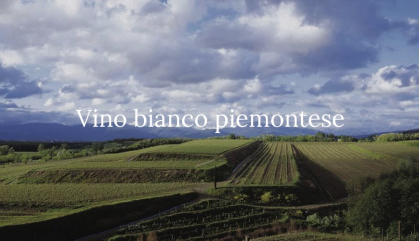 Vino bianco piemontese, Langhe e Roero al sapore di mare