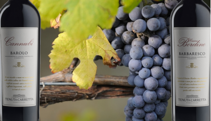 I vini pregiati del Piemonte, dalle uve Nebbiolo ai rossi Barolo e Barbaresco