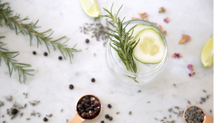 Gin: migliori botanicals, storie e nomi dalla Scozia al Giappone