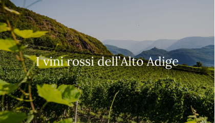  I vini rossi dell’Alto Adige