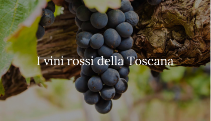  Vino rosso toscano: ottimo è dire poco!