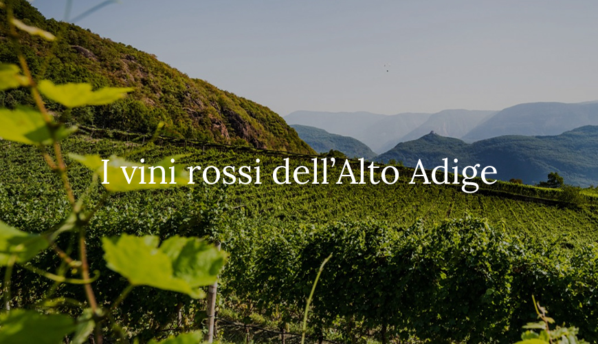  I vini rossi dell’Alto Adige